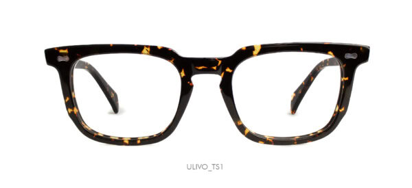ULIVO_TS1